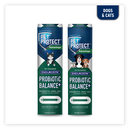 Pet Protect™ Probiotic Balance+ Oral Gel With Vet-Formulated Endurosyn